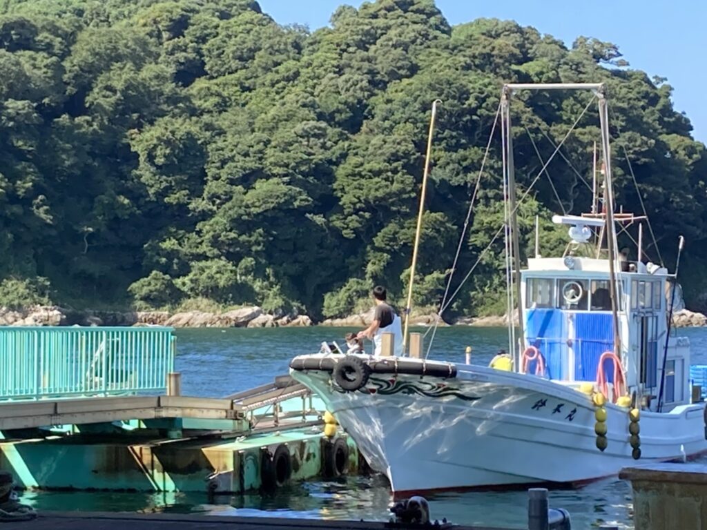 日本有数のシラス漁獲量を誇る篠島より 獲れたてシラスを味わい尽くすオンラインツアー ほむすび