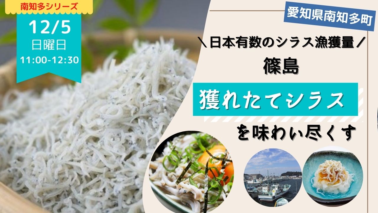 日本有数のシラス漁獲量を誇る篠島より 獲れたてシラスを味わい尽くすオンラインツアー ほむすび